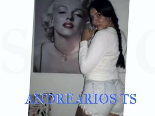 ANDREARIOS_TS