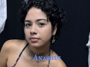 Anashus