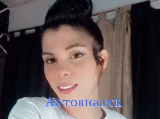 Antobigcock