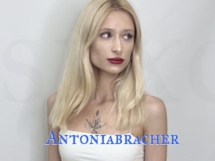 Antoniabracher