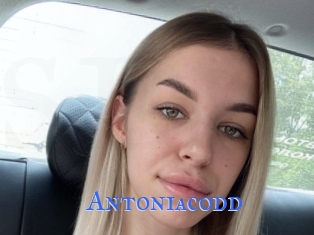 Antoniacodd