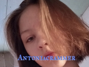 Antoniacrammer