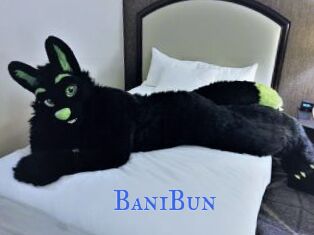 BaniBun