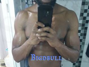 Bigdbull