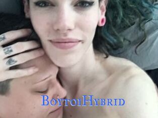 BoytoiHybrid