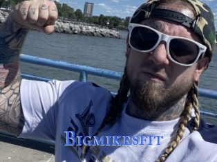 Bigmikesfit