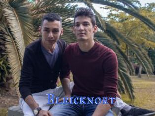 Bleicknort