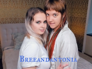 Breeandantonia