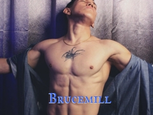 Brucemill