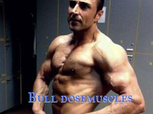 Bull_dosemuscles