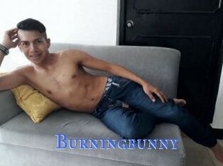 Burningbunny