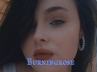 Burningrose