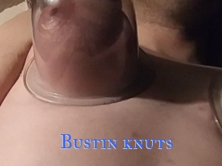 Bustin_knuts