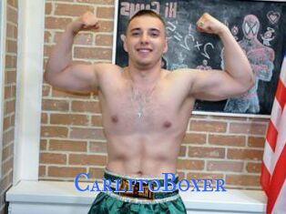 CarlitoBoxer