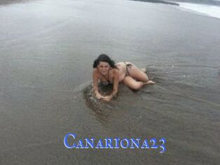 Canariona23