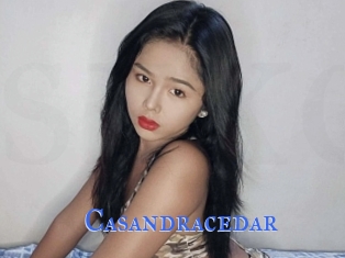 Casandracedar