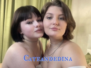 Cateandedina