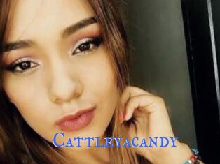 Cattleyacandy