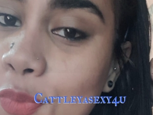 Cattleyasexy4u