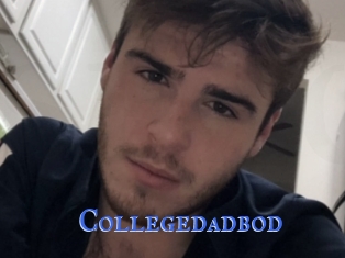 Collegedadbod