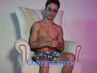 Cooperlewyn