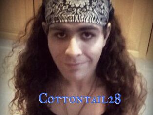 Cottontail28