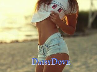 DaisyDove