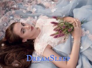 DreamSleep