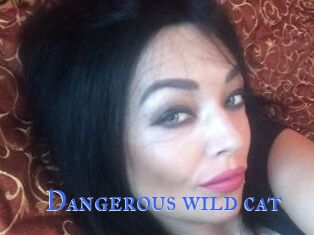 Dangerous_wild_cat