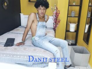 Danii_steel