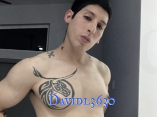 Davidl3630