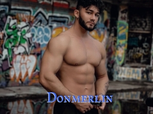 Donmerlin