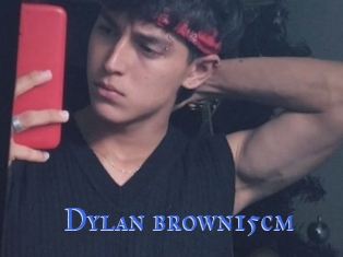 Dylan_brown15cm