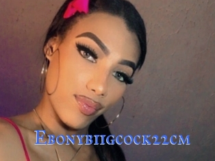 Ebonybiigcock22cm