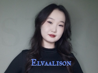 Elvaalison