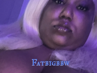 Fatbigbbw