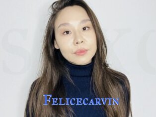 Felicecarvin