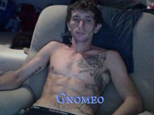 Gnomeo