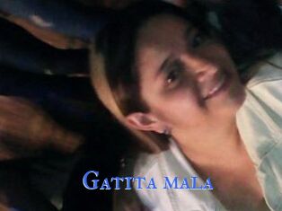 Gatita_mala