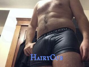 HairyCub