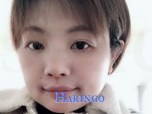 Haringo