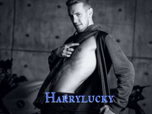 Harrylucky