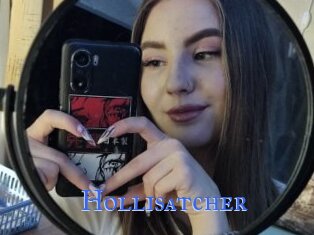 Hollisatcher