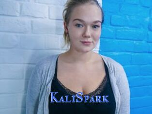 KaliSpark