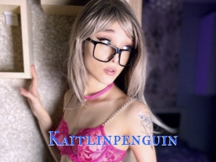 Kaitlinpenguin