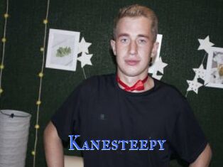 Kanesteepy