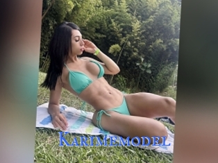 Karimemodel