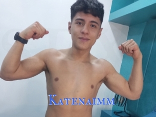 Katenaimm