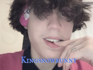 Kingsnowbunny