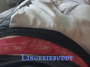 Lingeriebuddy